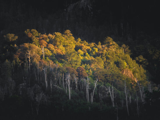 Cochamo Last Light