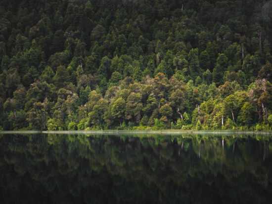 Lago Toro
