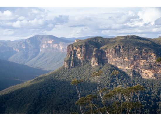 Point Pilcher - Blue Mountains